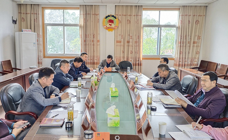 安庆市政协提案委来潜调研提案办理工作(图1)