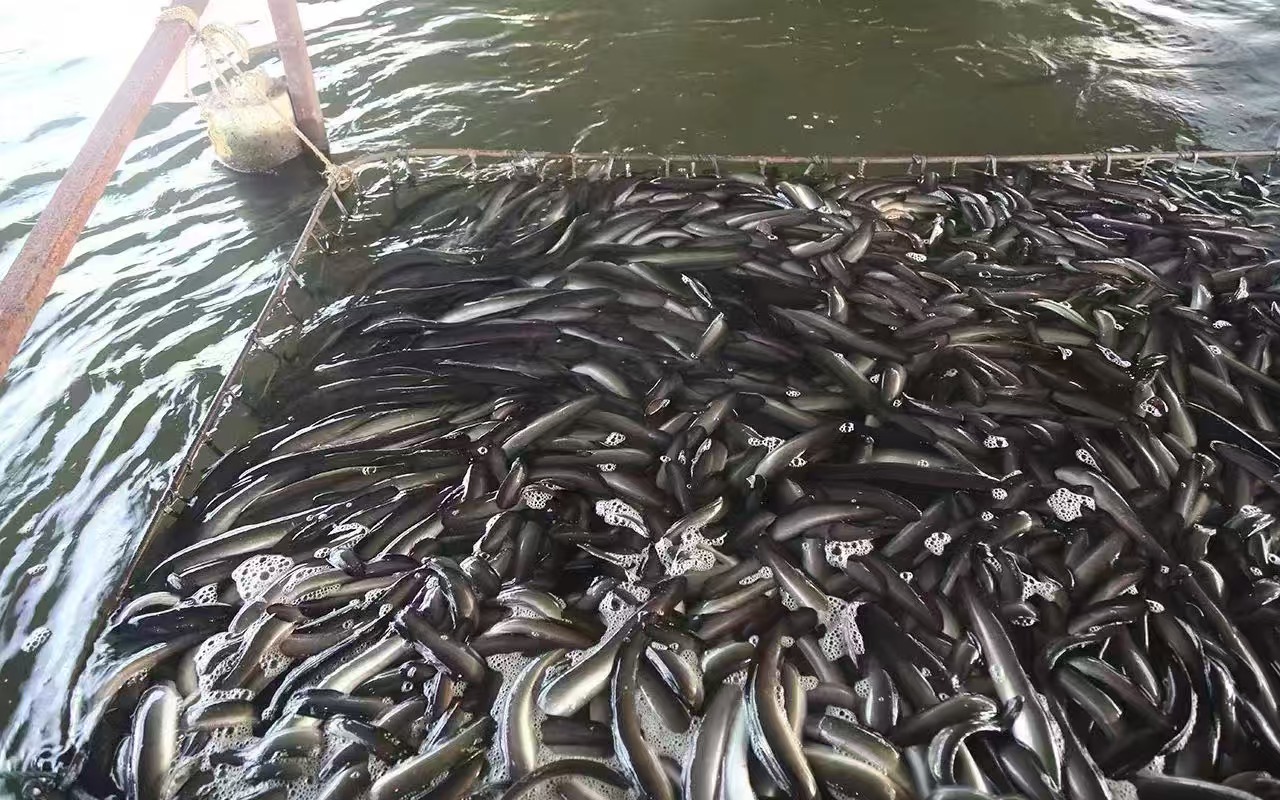 微信图片_20241205145052.jpg